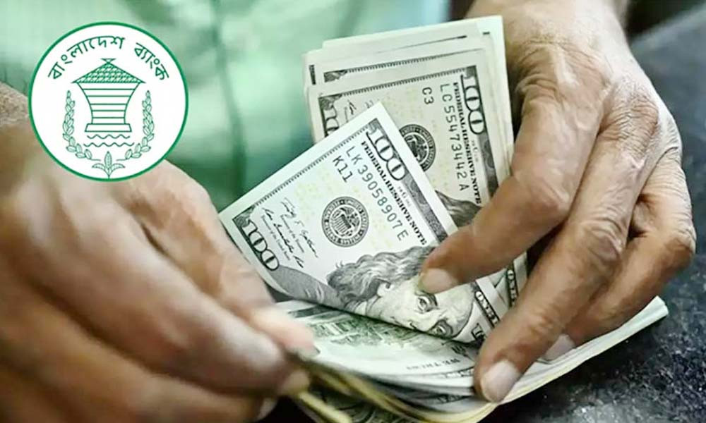 ফাইল ছবি।